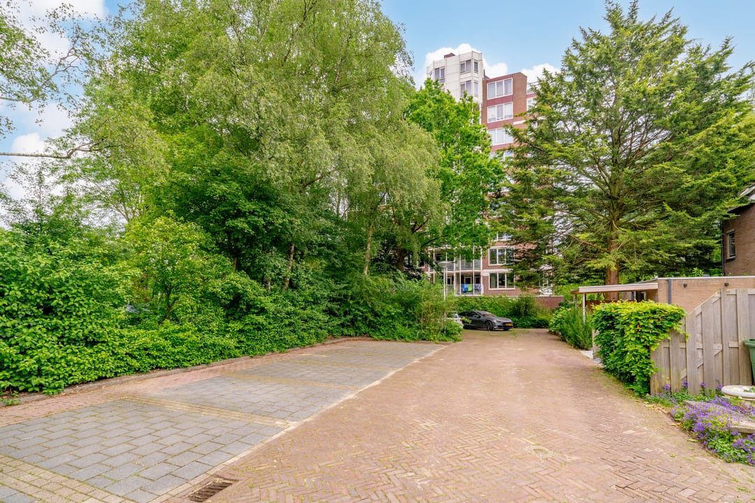 Photo 38 of Logger 85