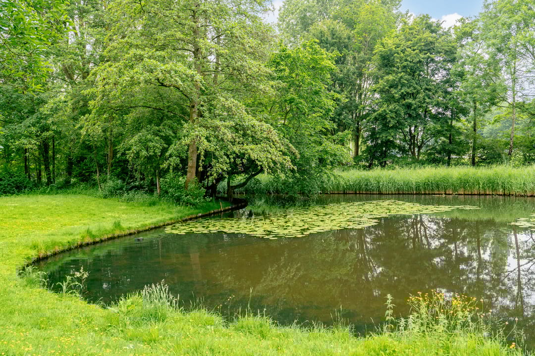 Photo 41 of Logger 85