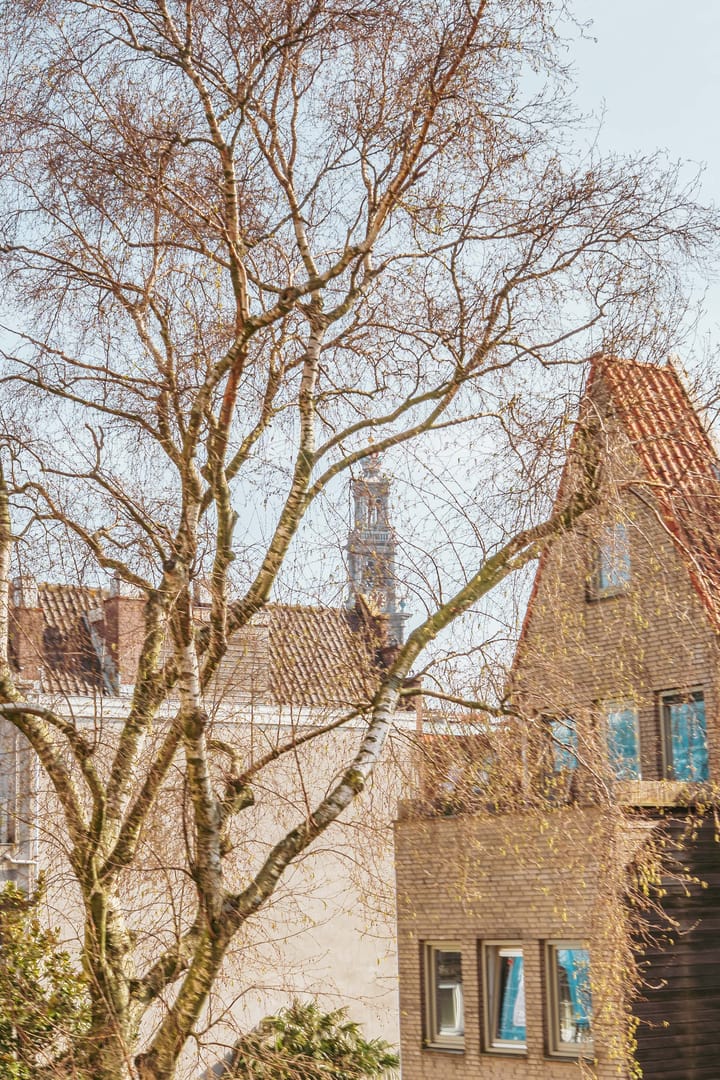 Foto 16 van Egelantiersgracht 177-2