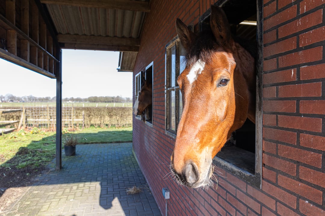 Foto 68 van Hoofdweg 4