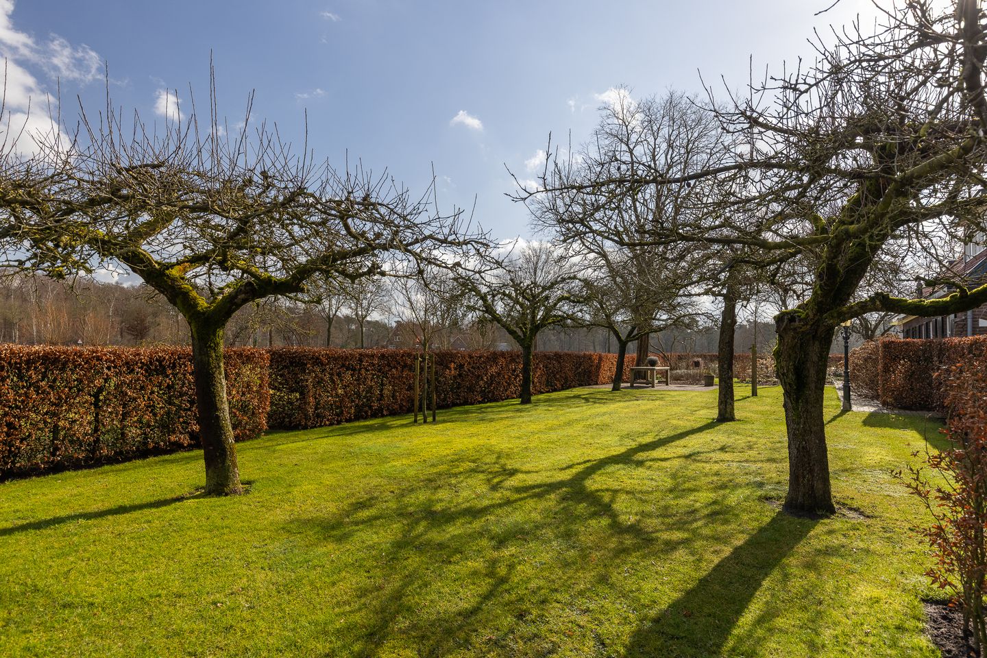 Foto 79 van Hoofdweg 4