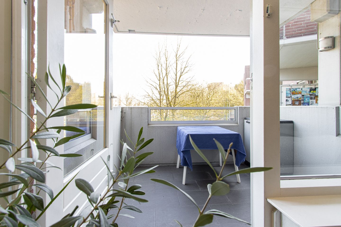 Foto 10 van Statenkwartier 82