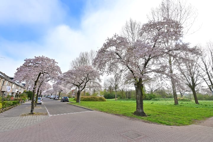 Foto 24 van Rijnland 4