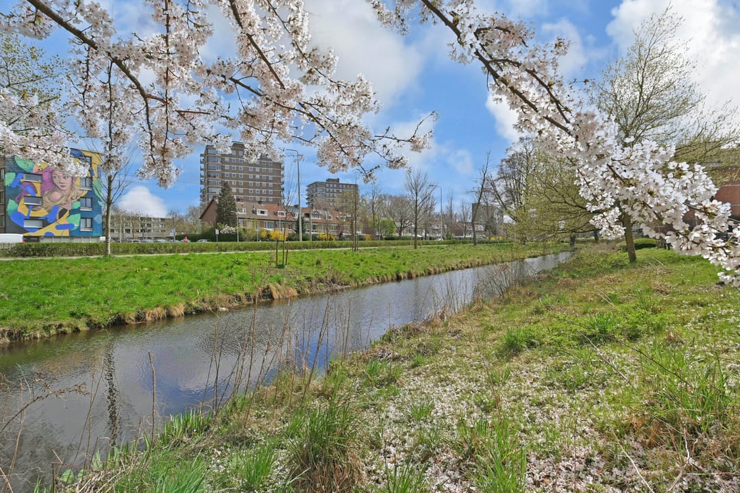 Foto 32 van Zwedenburg 366