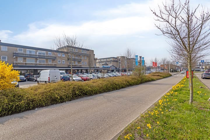 Foto 30 van Stevenshofdreef 93