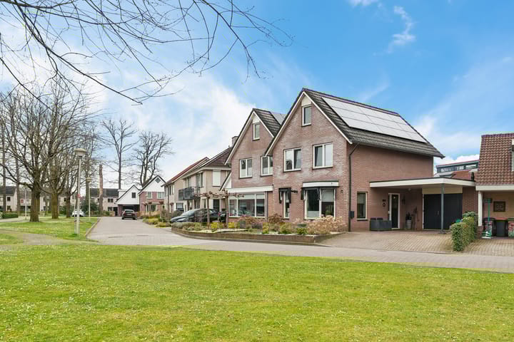 Foto 8 van Fluitekruid 39