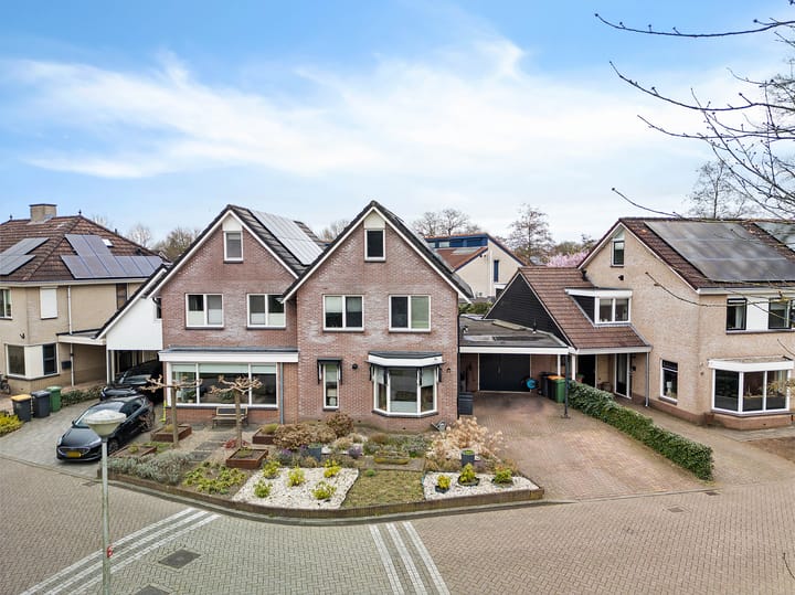 Foto 51 van Fluitekruid 39