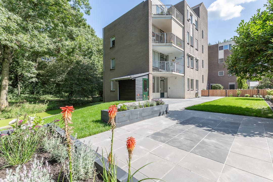 Foto 1 van Koraalzwam 157