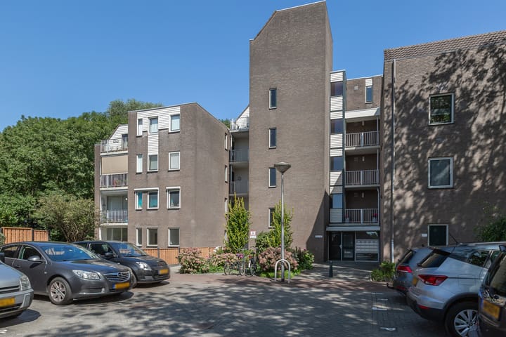 Foto 2 van Koraalzwam 157