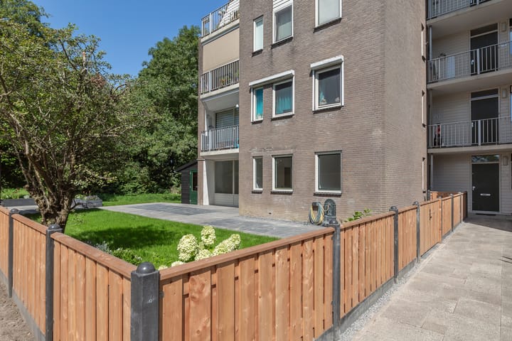 Foto 3 van Koraalzwam 157