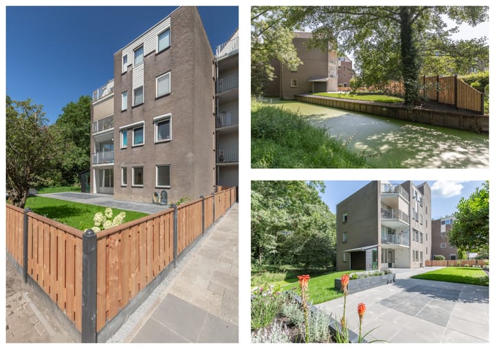 Foto 5 van Koraalzwam 157