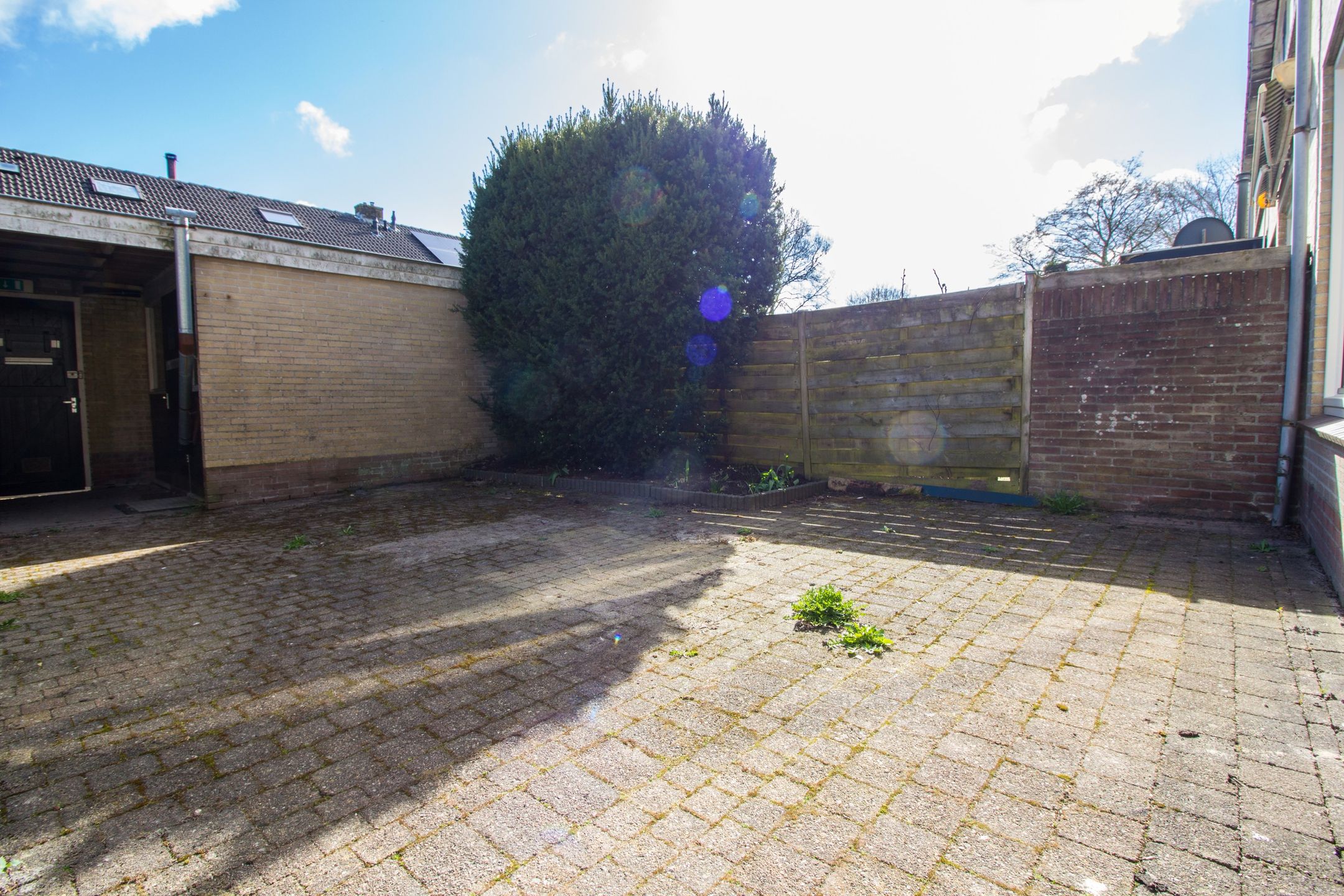 Foto 21 van Hertog Albrechtstraat 226