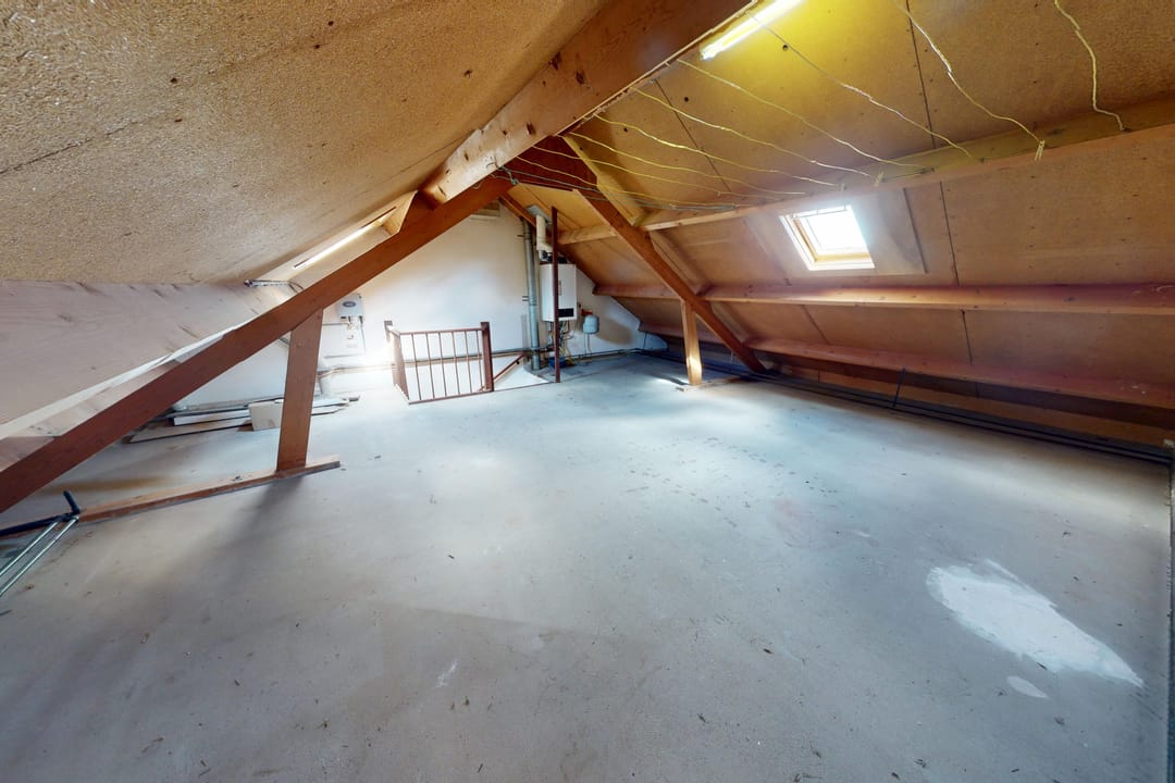 Foto 46 van Hertog Albrechtstraat 226