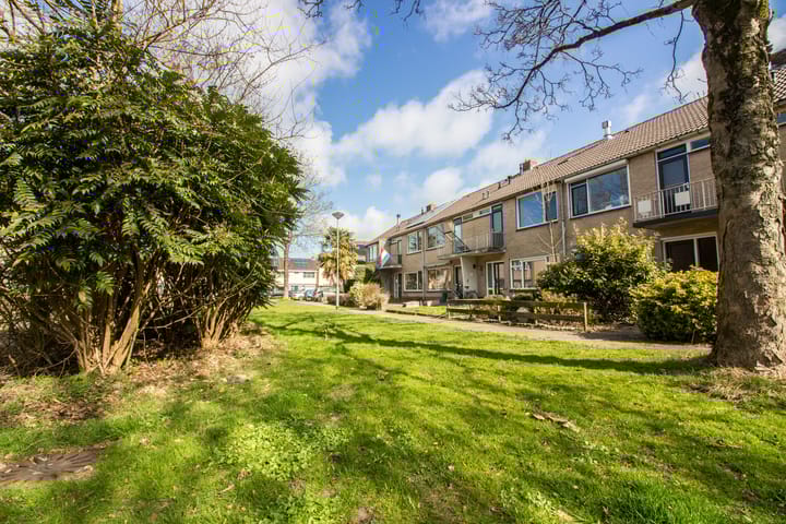 Photo 49 of Hertog Albrechtstraat 226