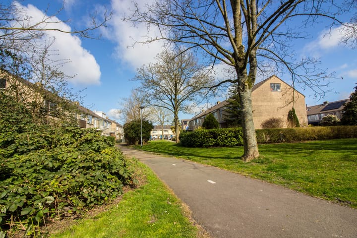 Photo 50 of Hertog Albrechtstraat 226