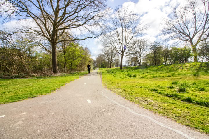 Photo 51 of Hertog Albrechtstraat 226