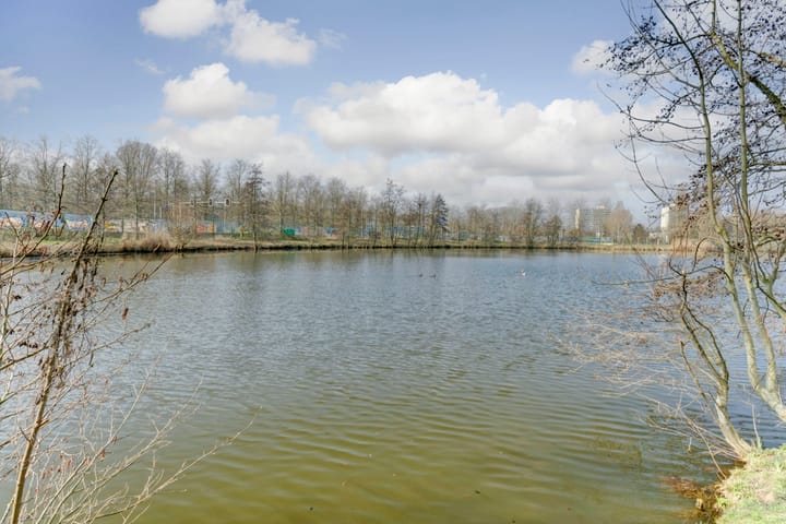 Photo 23 of Aalscholversingel 494