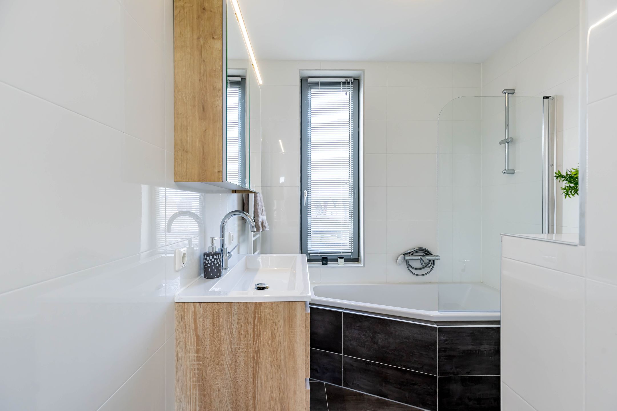 Foto 39 van Joeswerd 165