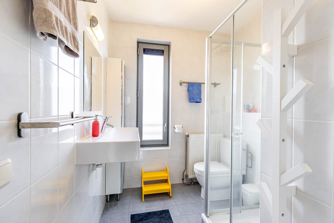 Foto 28 van Joeswerd 165