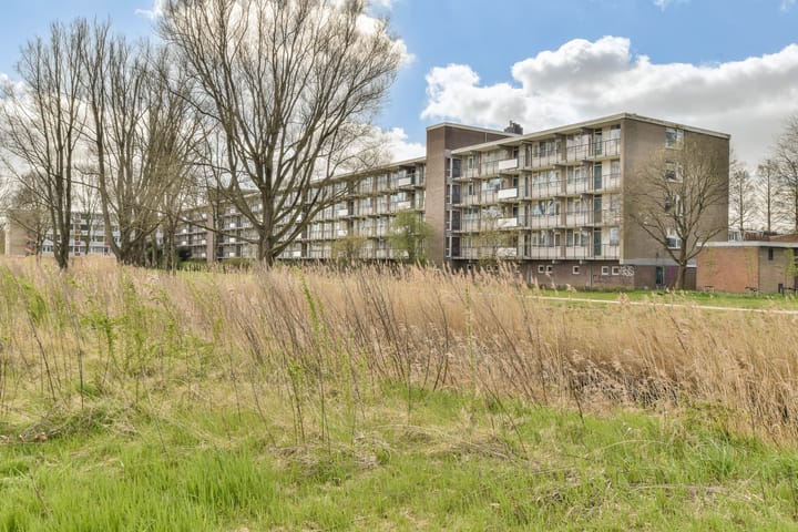 Foto 6 van Biesbosch 201