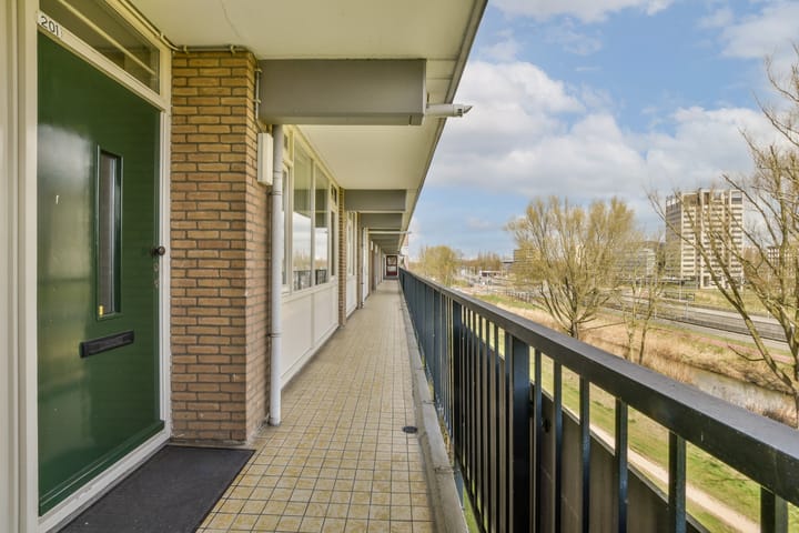 Foto 7 van Biesbosch 201