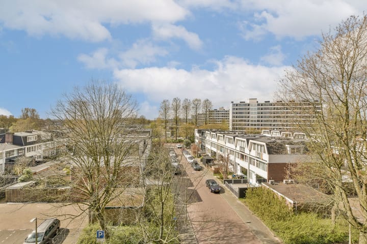 Foto 14 van Biesbosch 201