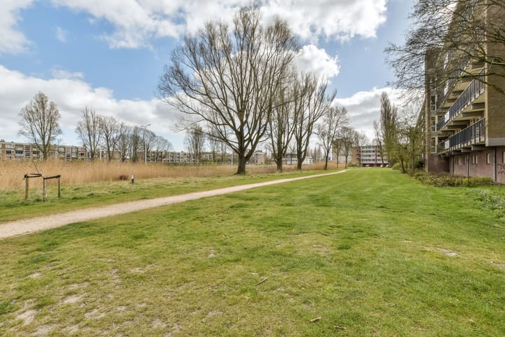 Foto 24 van Biesbosch 201