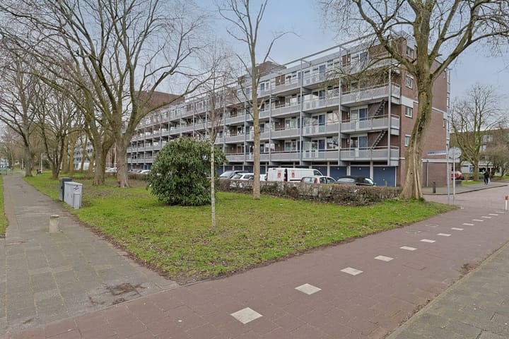 Foto 2 van Koolmeesstraat 69