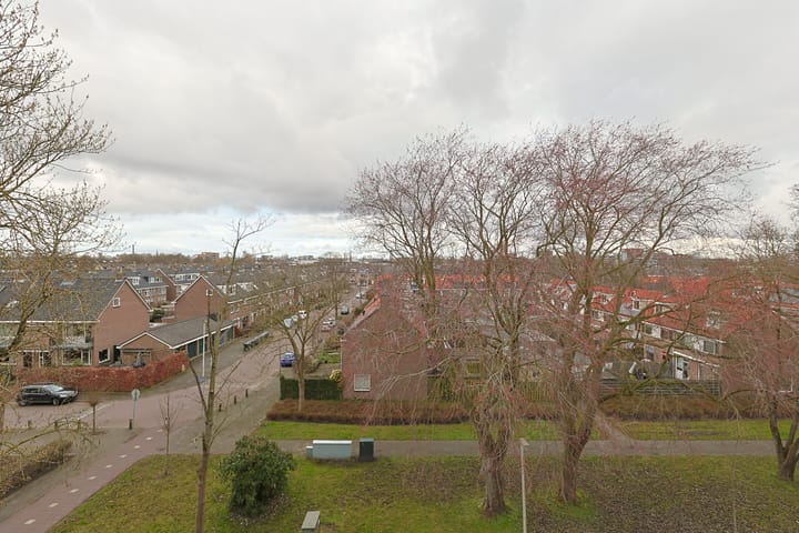 Foto 17 van Koolmeesstraat 69