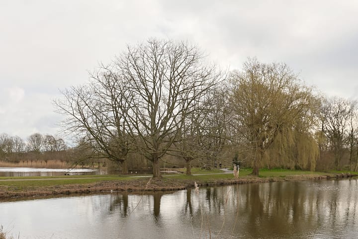 Foto 19 van Koolmeesstraat 69