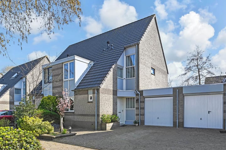 Foto 1 van Kievitsbloem 6