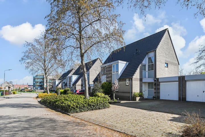 Foto 6 van Kievitsbloem 6