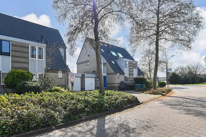 Foto 46 van Kievitsbloem 6