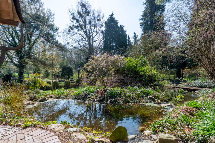 Foto 42 van Bergstraat 21