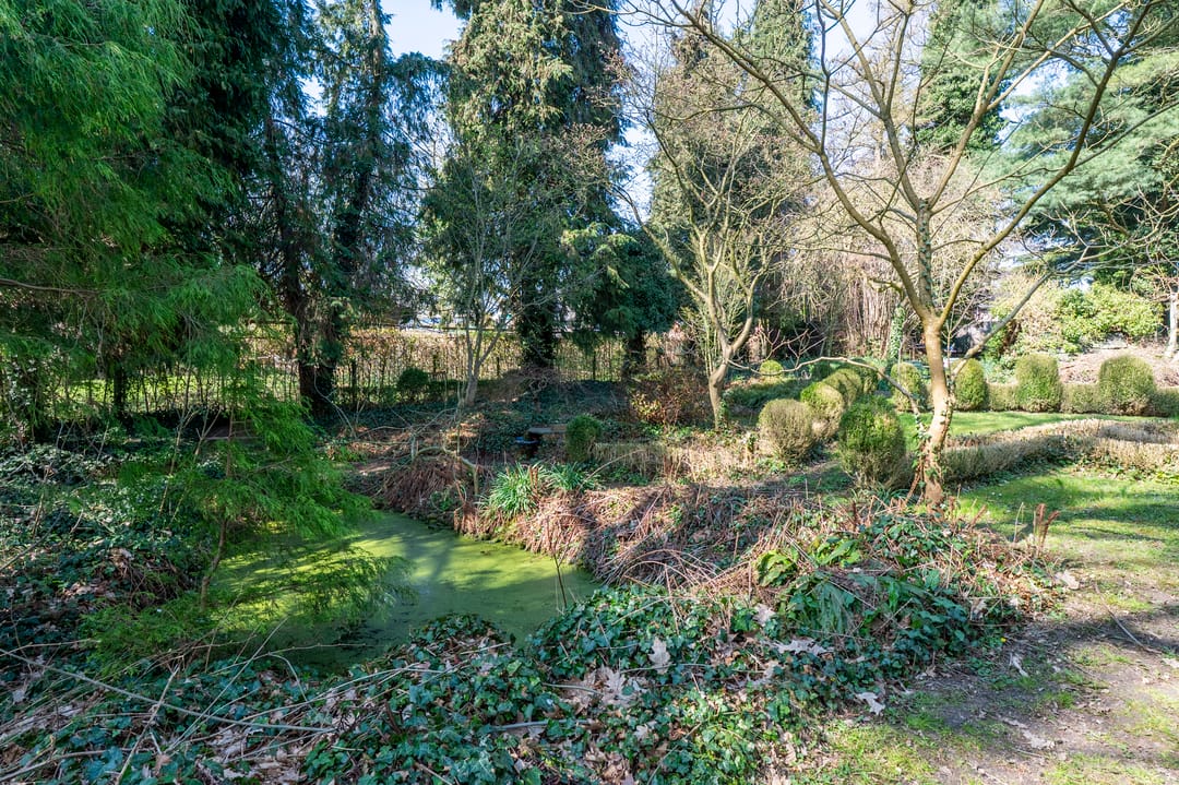 Foto 47 van Bergstraat 21