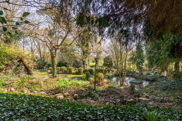 Foto 50 van Bergstraat 21