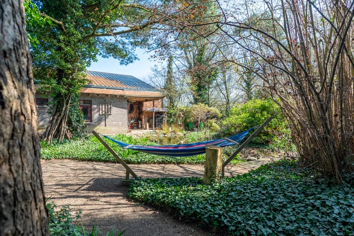 Foto 51 van Bergstraat 21