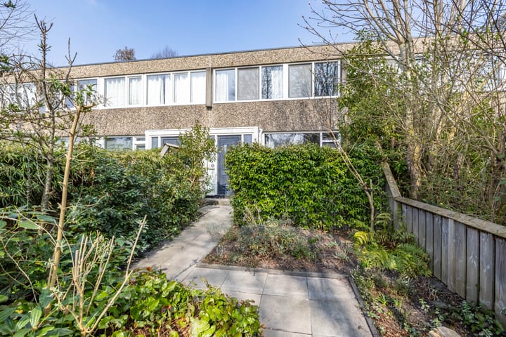 Foto 4 van Meerpaal 257