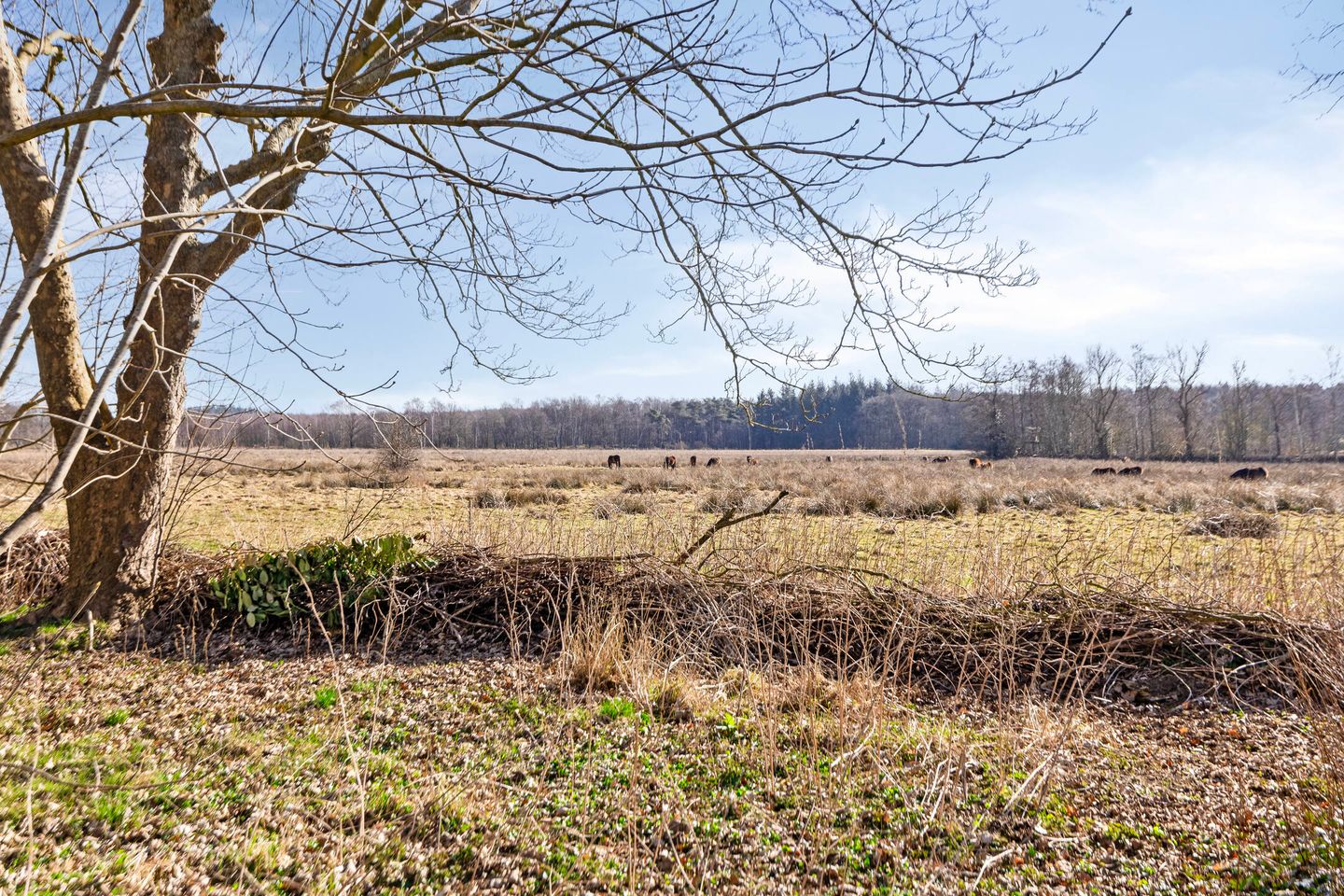 Foto 50 van Compagnonsweg 1