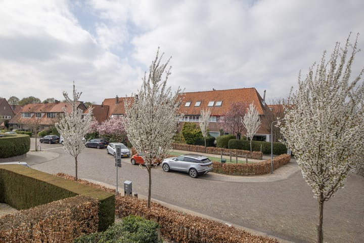 Foto 28 van Jacob Catsstraat 9