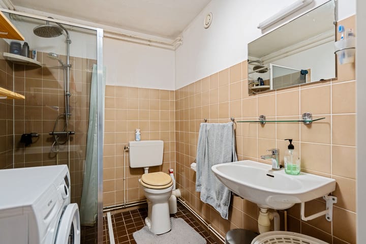 Foto 4 van Scheltemaheerd 102