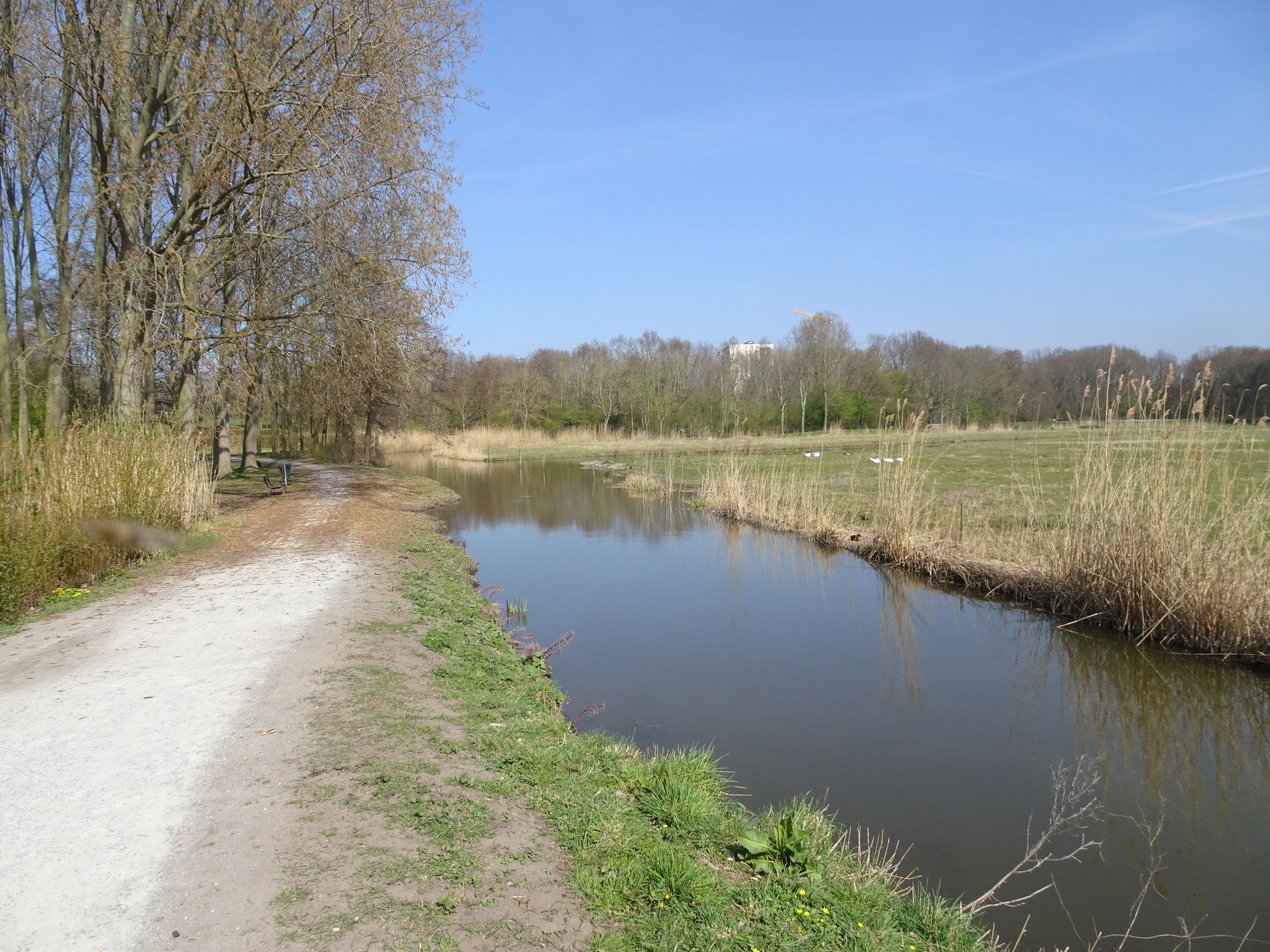 Foto 60 van Adriana van Roonlaan 90