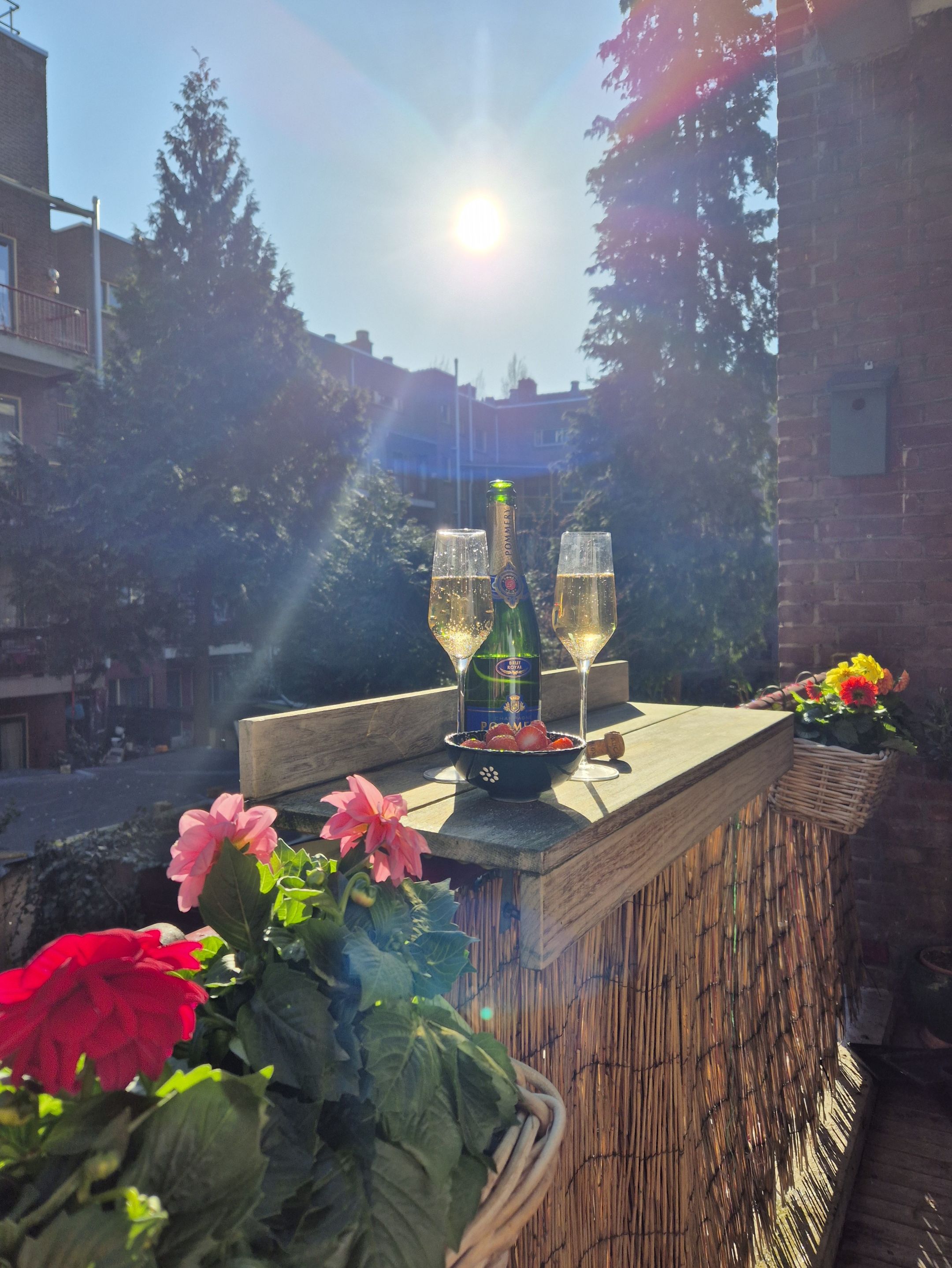 Foto 18 van Saffierstraat 126