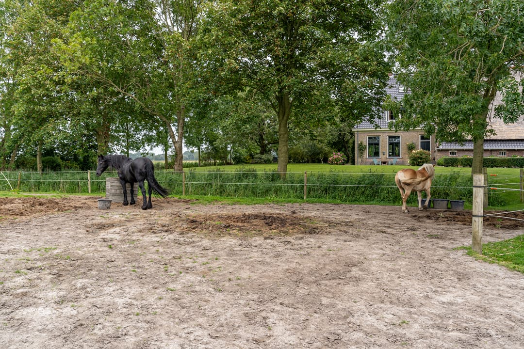 Foto 17 van Portmawei 3