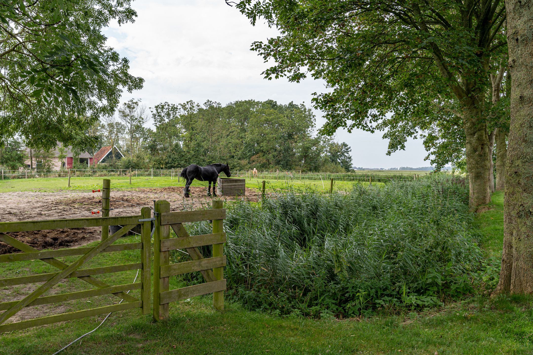 Foto 18 van Portmawei 3