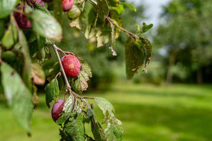 Photo 30 of Portmawei 3
