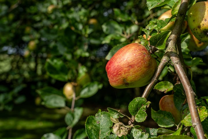 Photo 31 of Portmawei 3