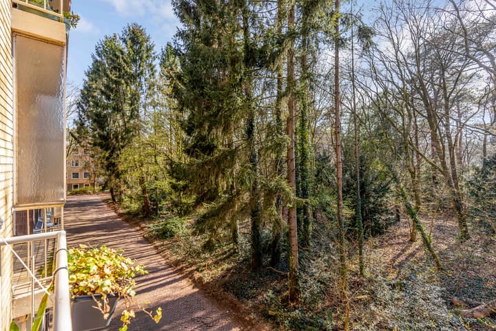 Foto 3 van Prinses Marijkelaan 28-1