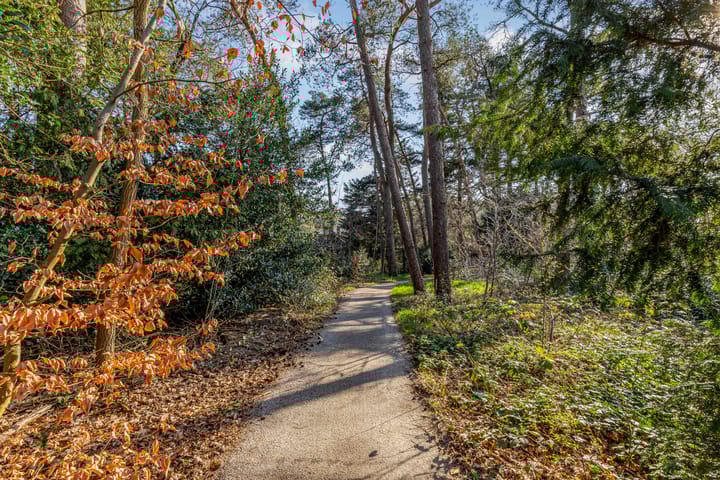 Foto 6 van Prinses Marijkelaan 28-1