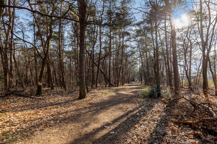 Foto 38 van Prinses Marijkelaan 28-1